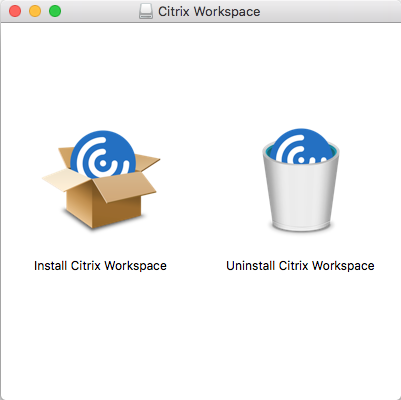 Citrix workspace app download
